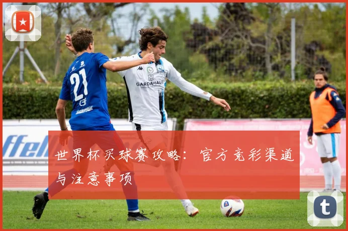 世界杯买球赛攻略:官方竞彩渠道与注意事项